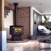 Drolet Escape 1800 Wood Stove providing warm fire in a cozy living room